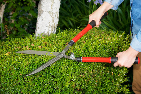 Corona HS 3950 precision pivot bolt enables smooth cuts