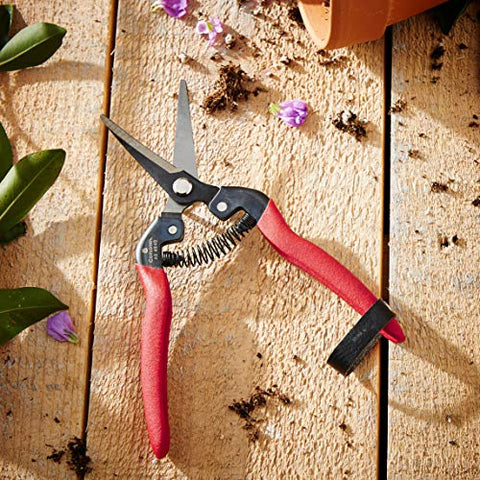 Corona Long Curved Snips harvesting grapes and herbs in a garden setting.