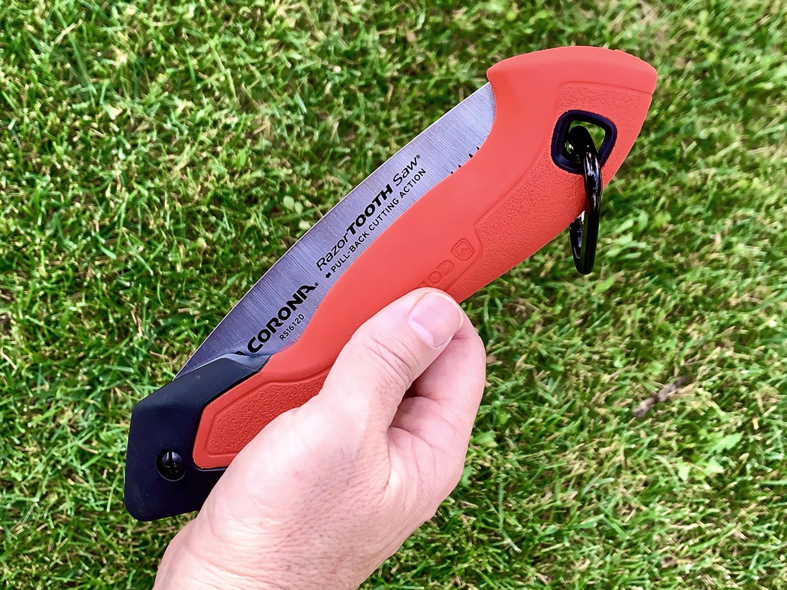Corona RazorTOOTH in-action pruning from ground to limb with precise cuts