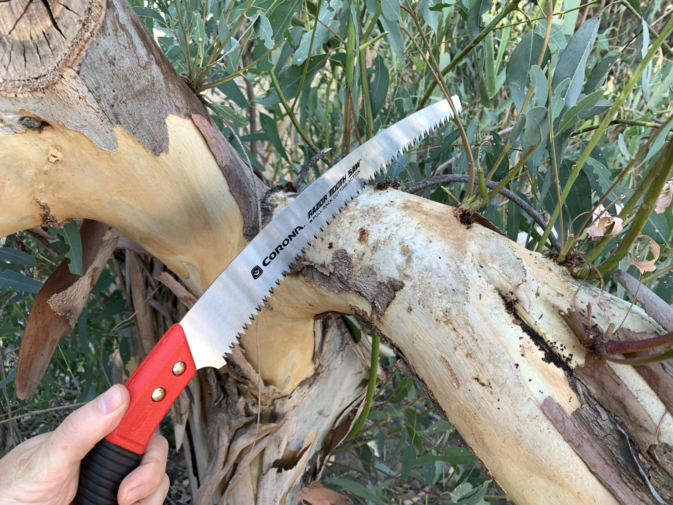 Corona RazorTOOTH pruning saw showing ergonomic handle for comfortable one-handed use.