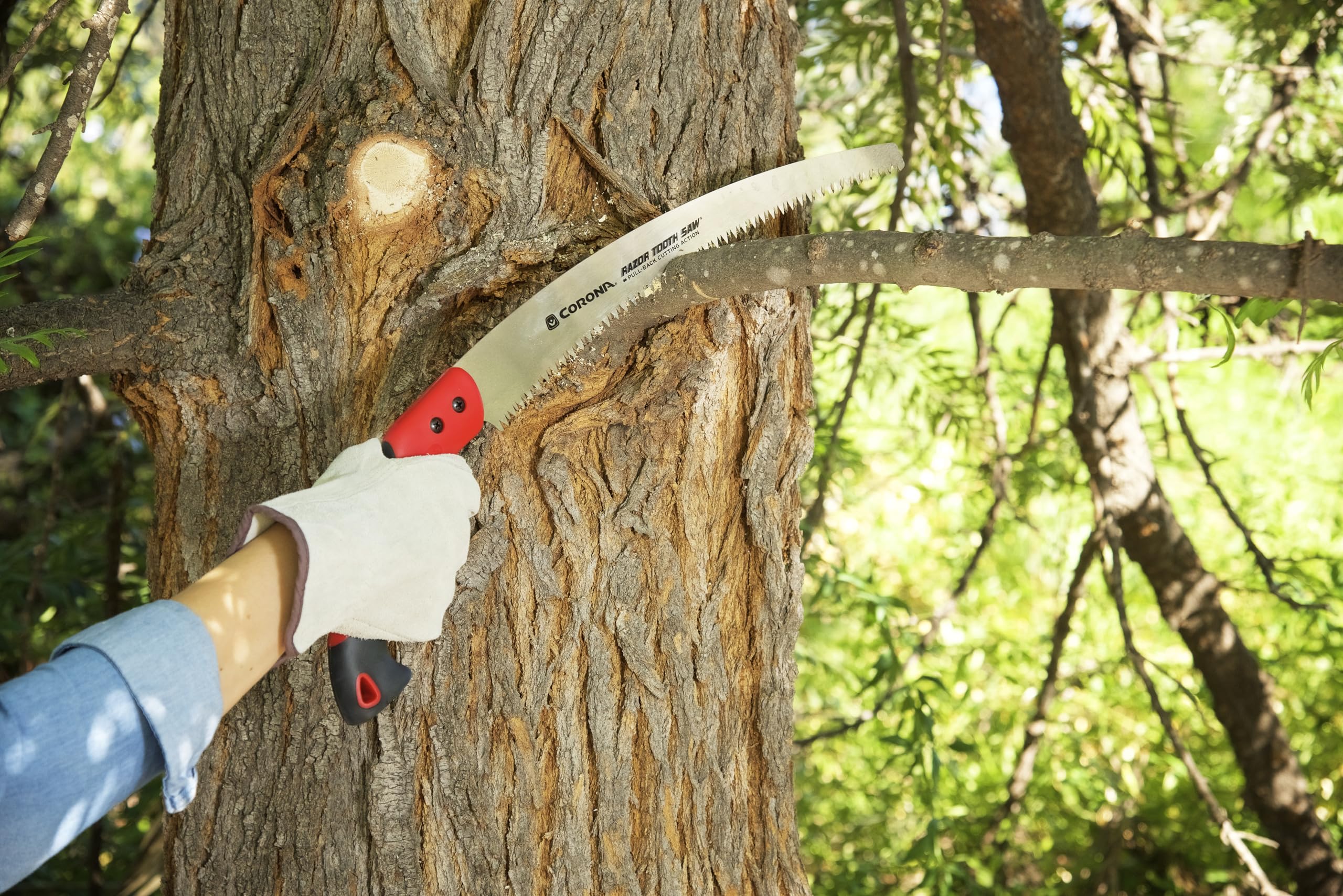 Corona RazorTOOTH blade features chrome-plated surface reduces friction during cuts.