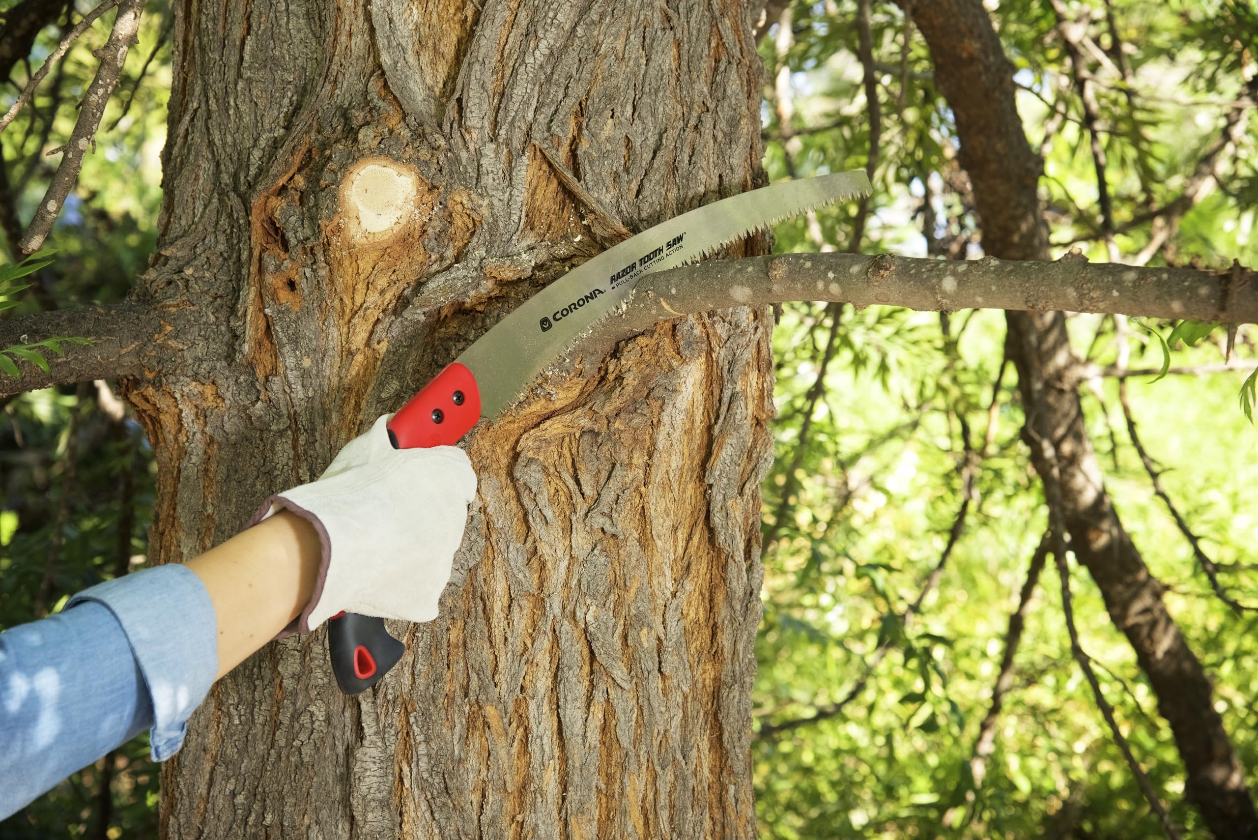 Corona RazorTOOTH pruning in garden setting, ideal for landscapers and homeowners.