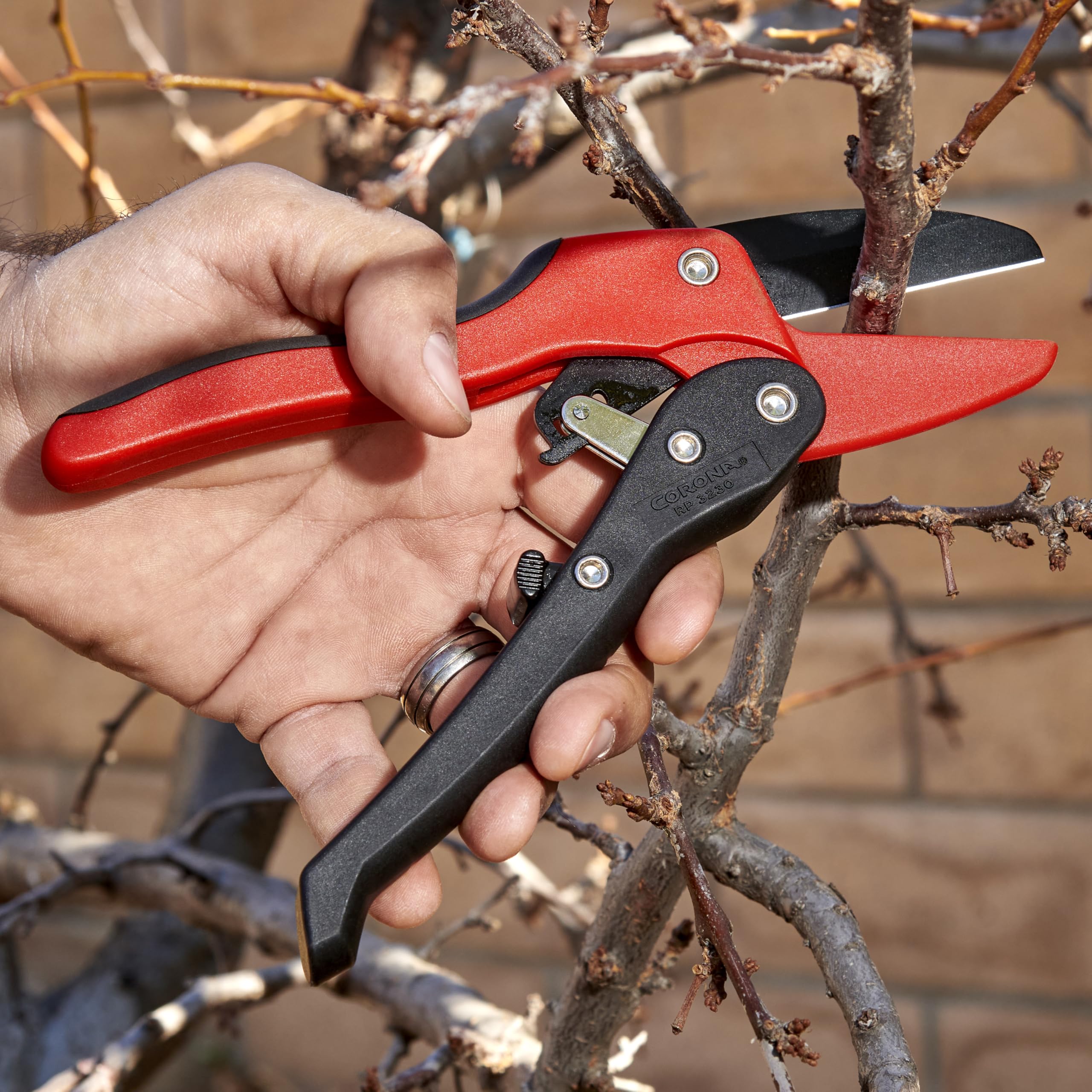 Corona RP 3230 demonstrating 3-4 inch cut capacity for thick growth