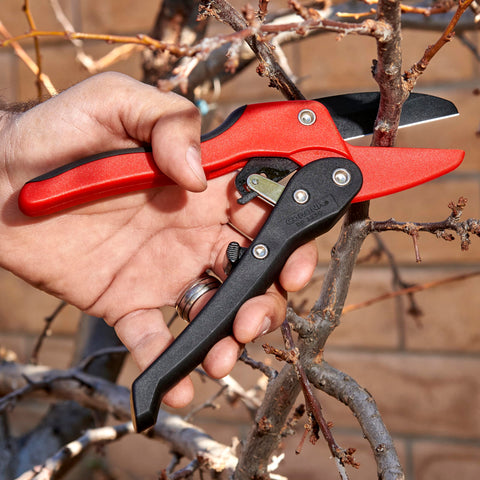Corona RP 3230 demonstrating 3-4 inch cut capacity for thick growth