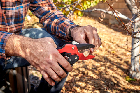 Corona RP 3230 lightweight yet sturdy design for versatile gardening tasks