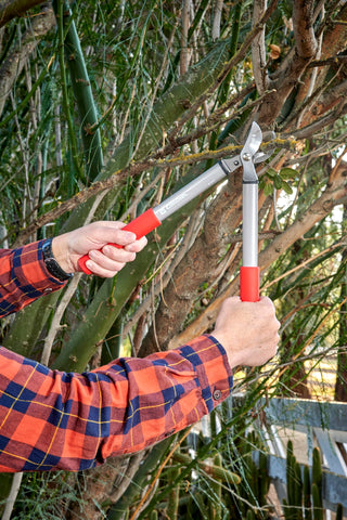 Corona ClassicCUT pruner durability and ergonomic design for extended use