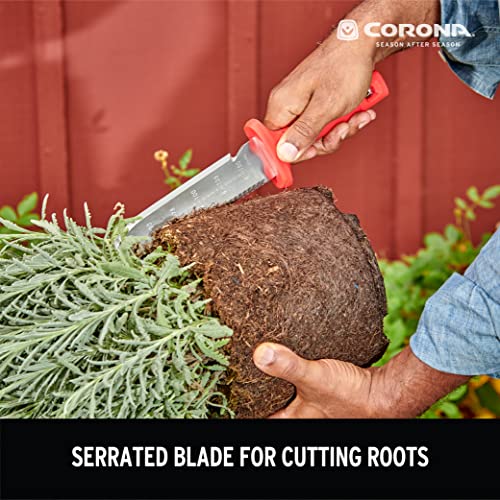 Corona Hori knife in a raised bed garden setting.