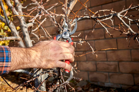 Corona Tools DualCUT pruner showing 1-inch cutting capacity for thick stems.