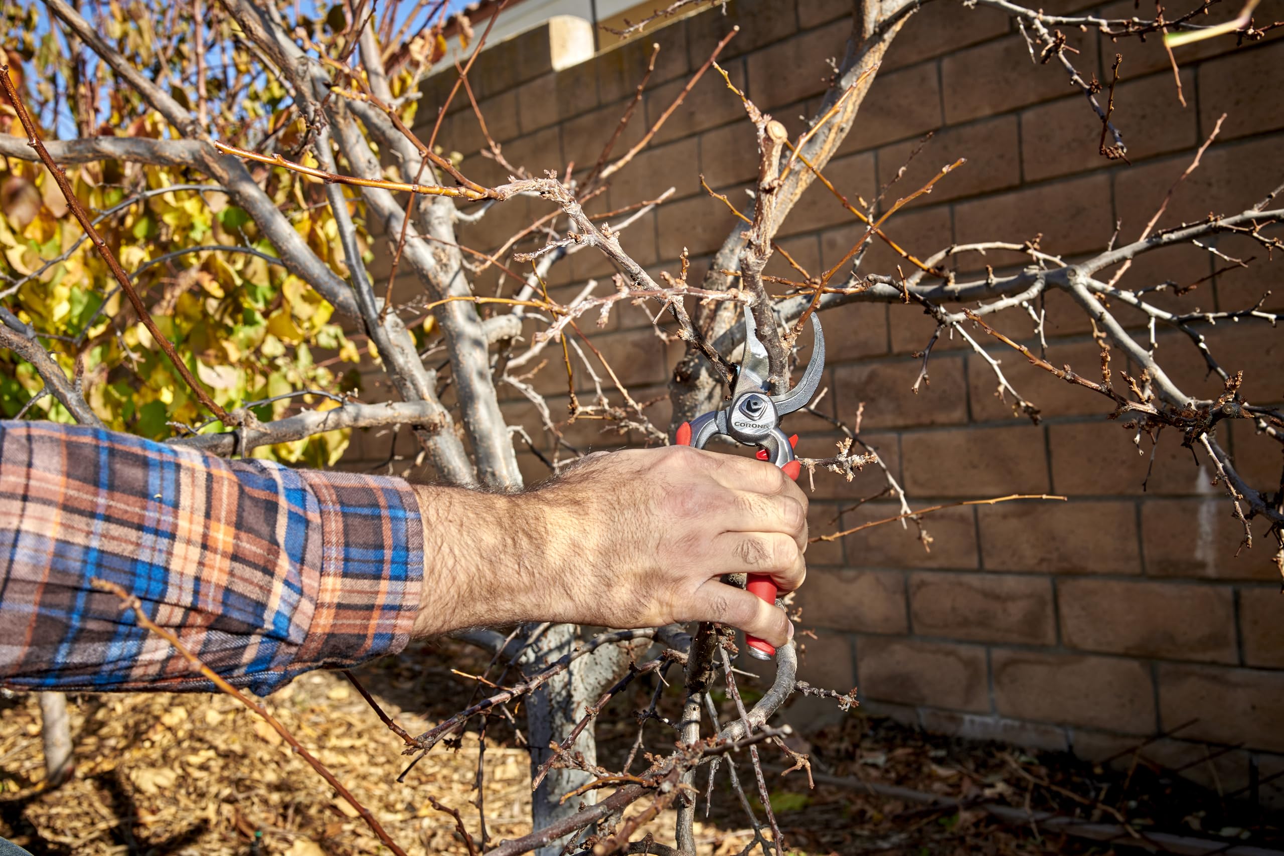Corona Tools DualCUT pruner blade in action delivering clean cuts.