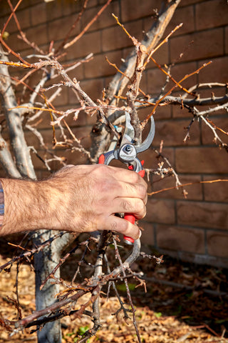 Corona Tools DualCUT pruner safety lock keeps blades safely closed when stored.
