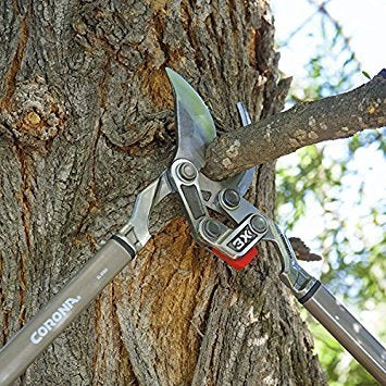 Corona Tools extended reach 33-inch loppers enabling high branch trimming