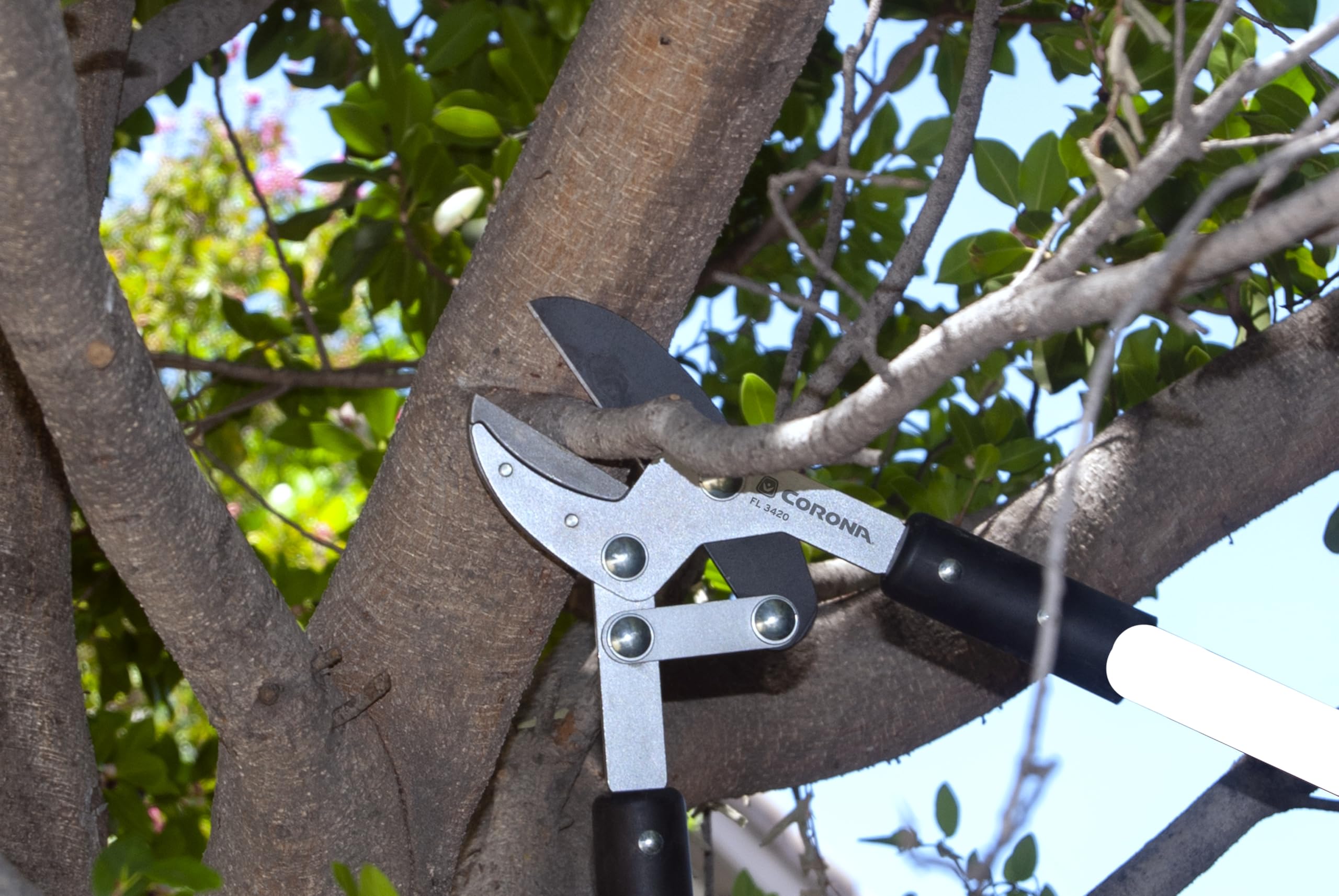 Corona FL 3420 anvil blade cutting dry wood with powerful, controlled results