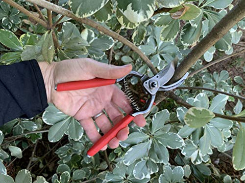 Reliable option for pruning trees, shrubs, and mature plants.