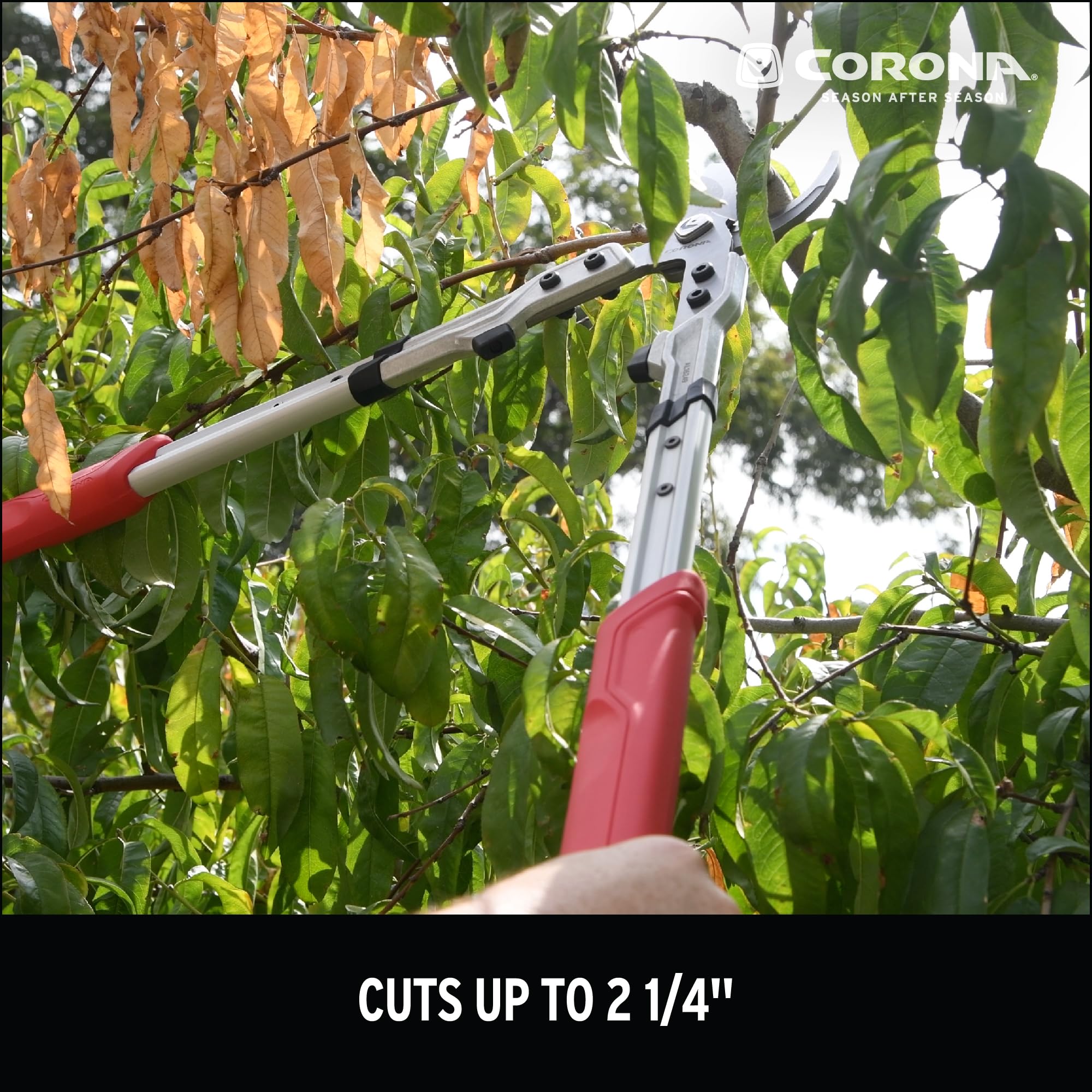 Ergonomic handles on Corona X Series Pro Lopper reduce fatigue.
