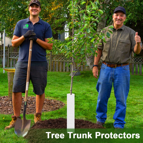 Corrugated Tree Guards two-piece kit provides flexible, reusable protection for saplings
