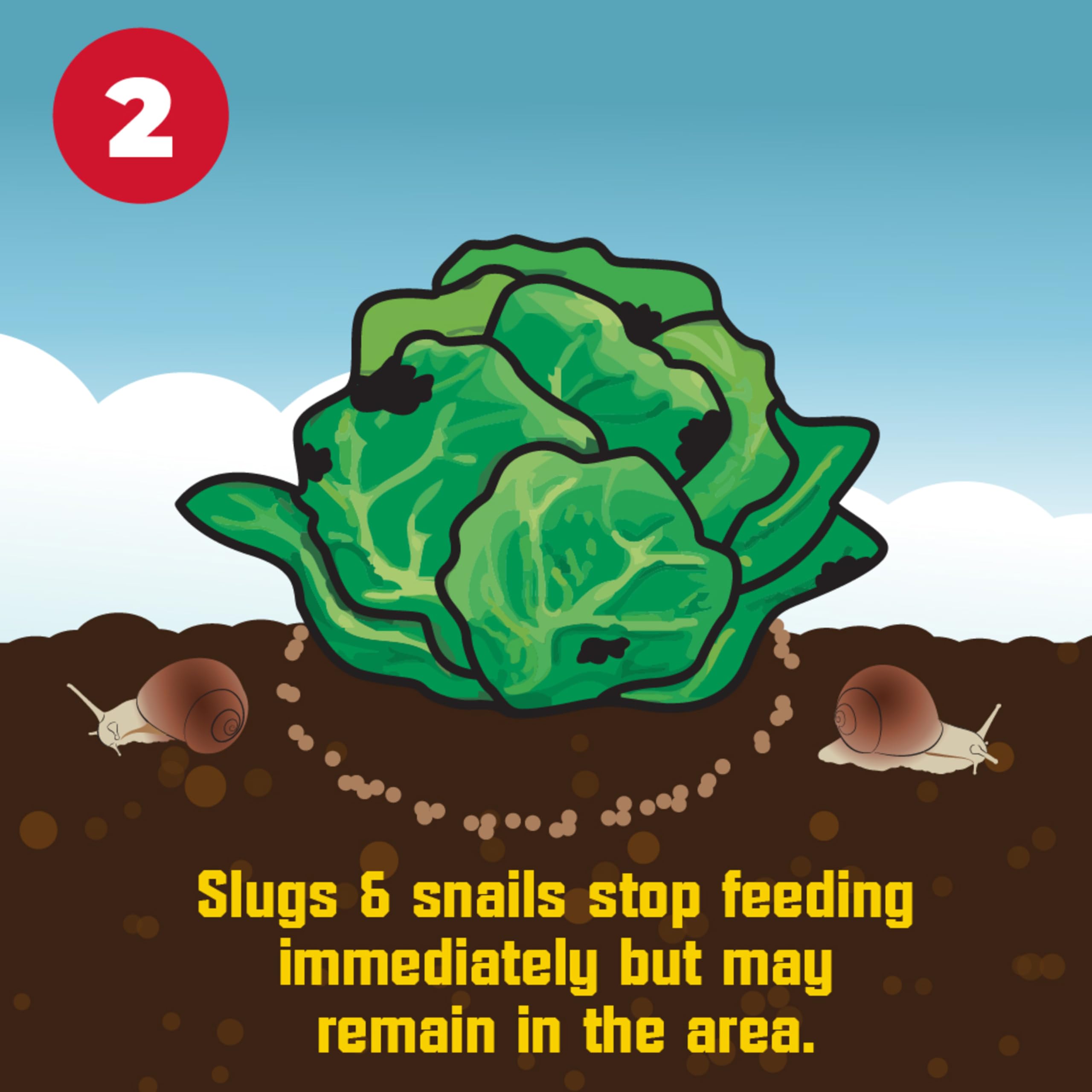 Corry's Slug Killer packaging back showing usage directions