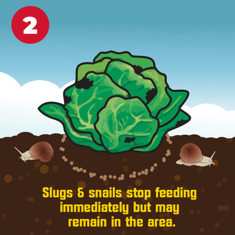 Corry's Slug Killer packaging back showing usage directions