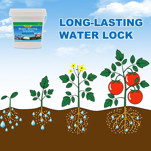 Cosbur plant-moisture-control beads closeup illustrating moisture regulation