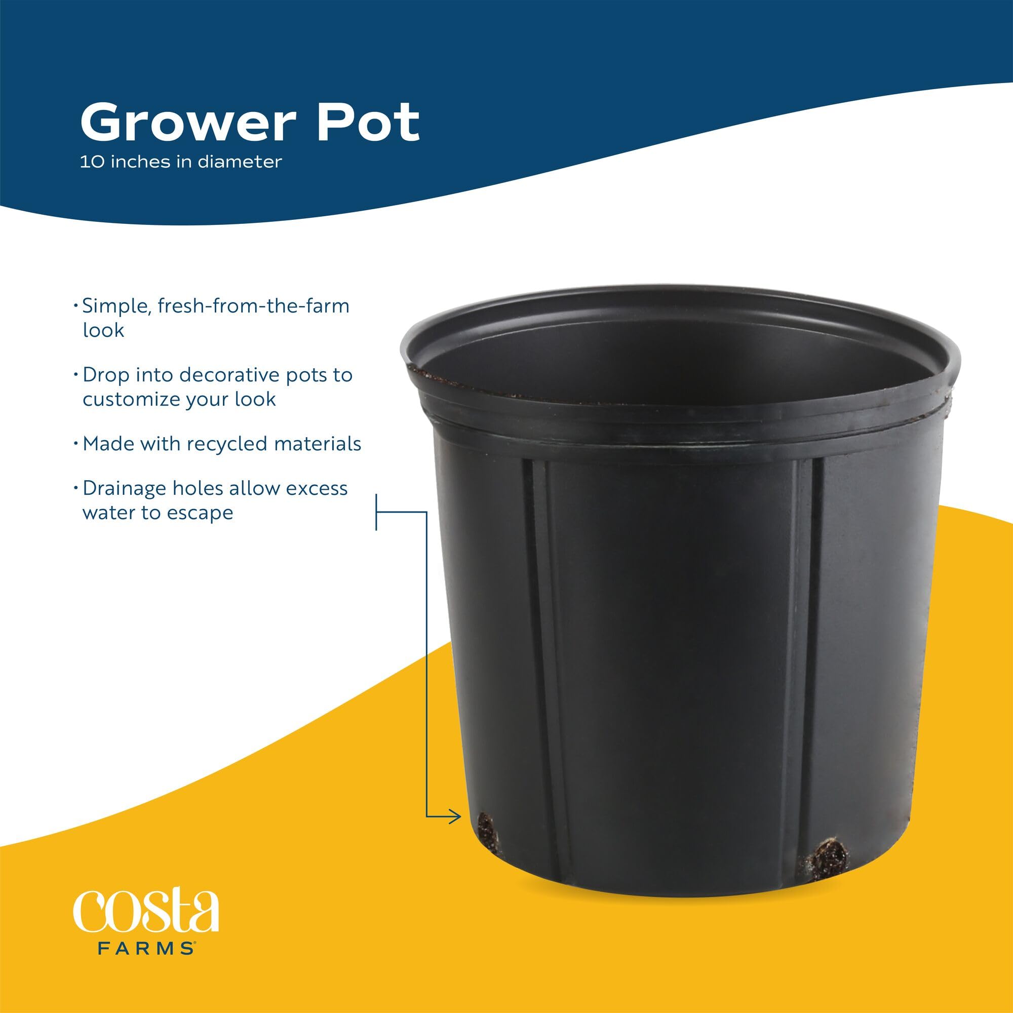 Costa Farms Monstera responds to general fertilizer for potted plant growth.