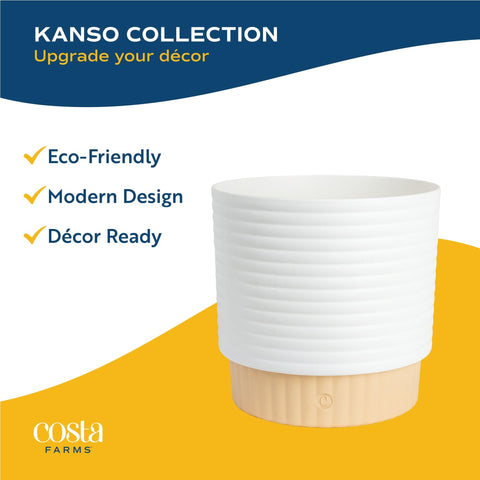 Costa Farms Burgundy Rubber makes a thoughtful housewarming or birthday gift