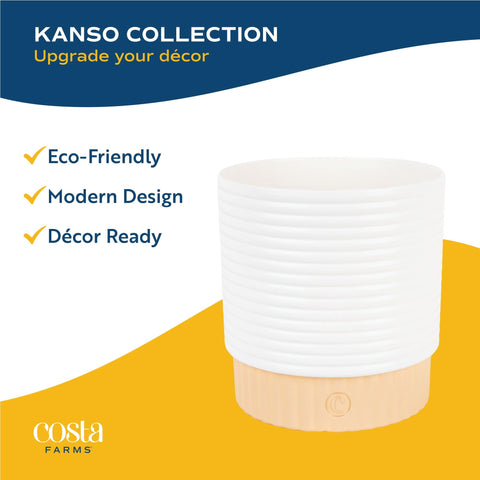Costa Farms air-purifying duo helps refresh indoor air quality in busy homes.