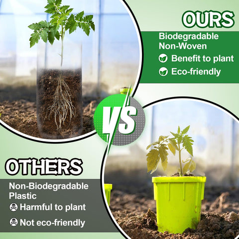 Cosweet breathable drainage holes promote air flow and root health