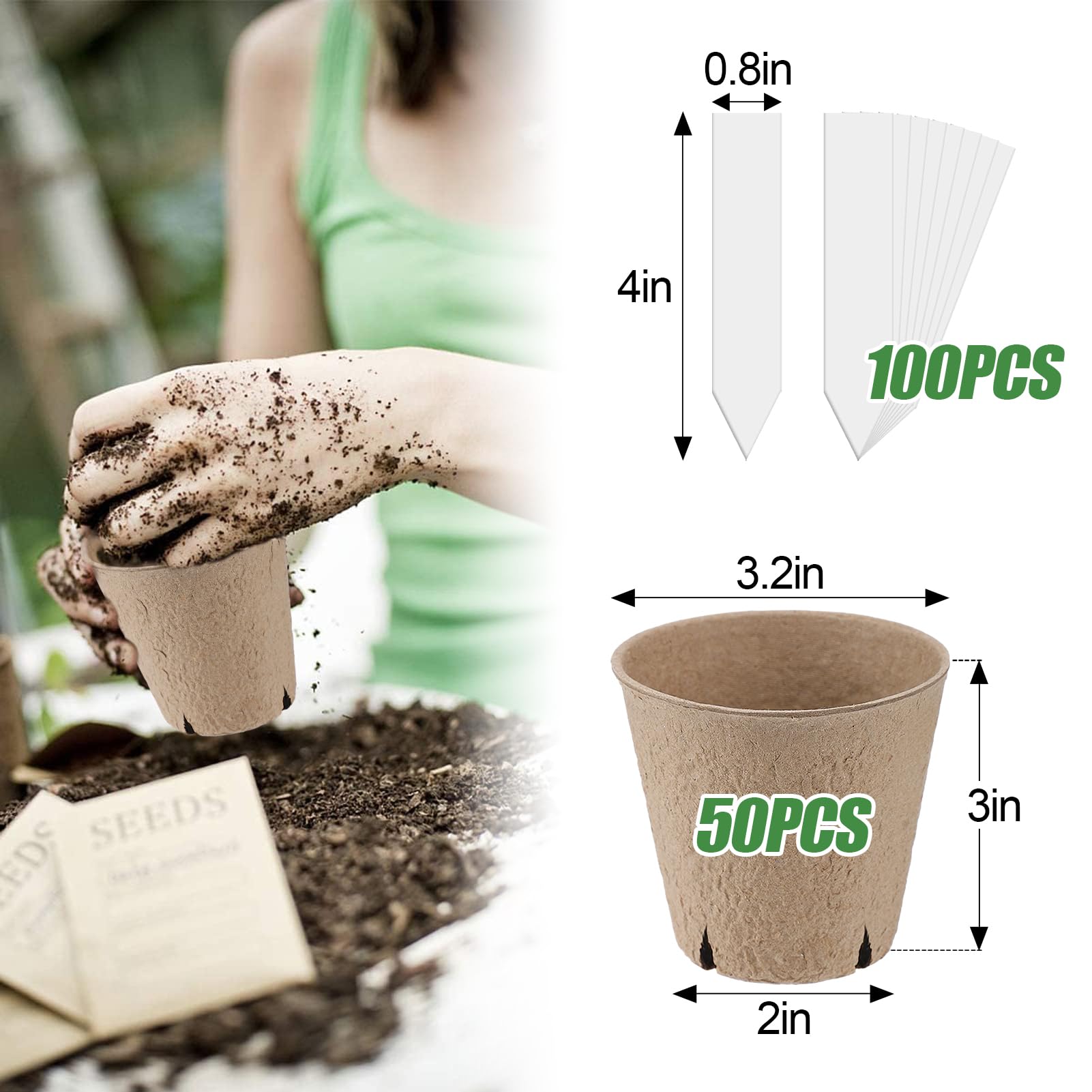Cosweet ground-transplant-ready pots plant directly into soil for easy gardening.