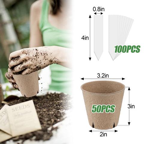 Cosweet ground-transplant-ready pots plant directly into soil for easy gardening.