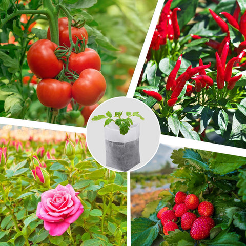 Cosweet heightened nursery bag supports tall plants and easy staging of seedlings.