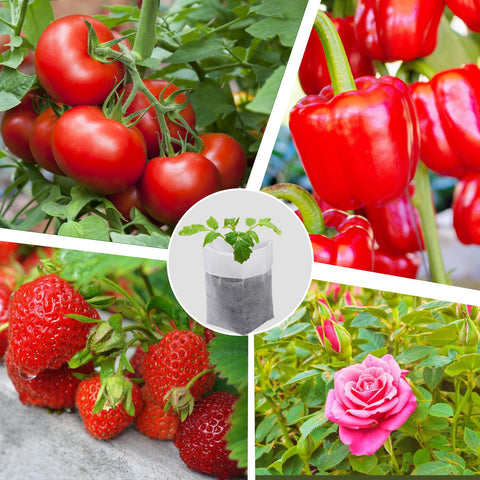 Cosweet compatible with indoor and outdoor gardening setups