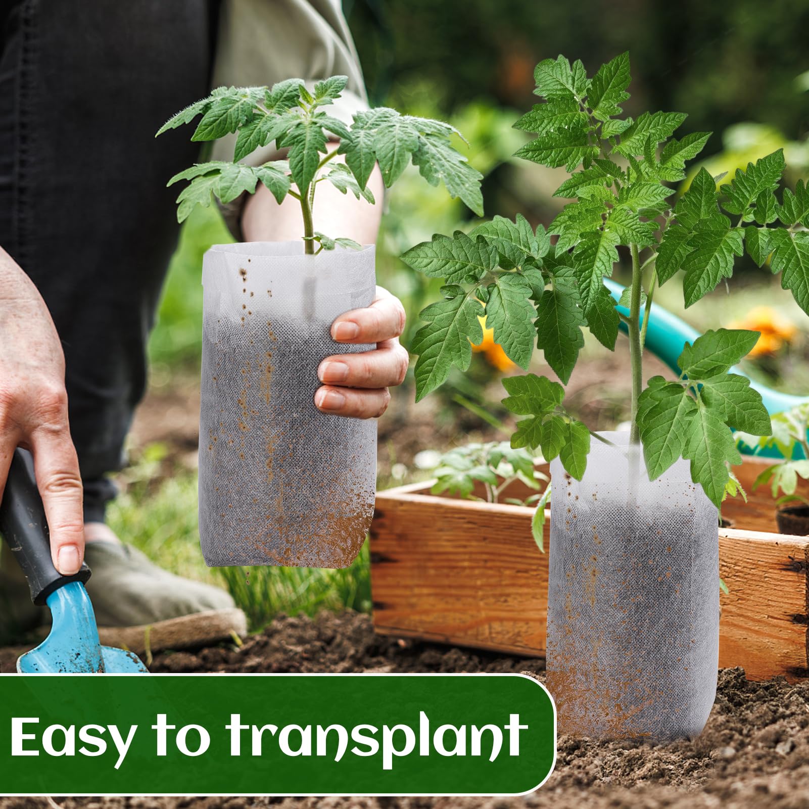 Cosweet multi-purpose bags suit seeds, flowers, saplings and rooted vegetables like tomatoes.