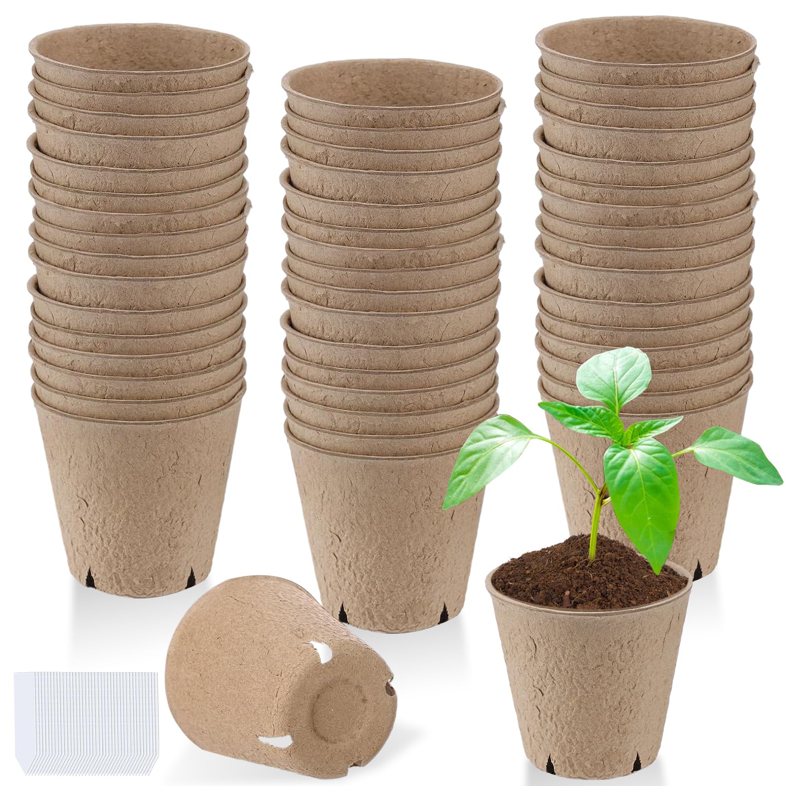 Cosweet 3.2-inch biodegradable peat pots ready for seed starting and transplant.