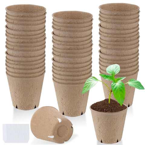 Cosweet 3.2-inch biodegradable peat pots ready for seed starting and transplant.