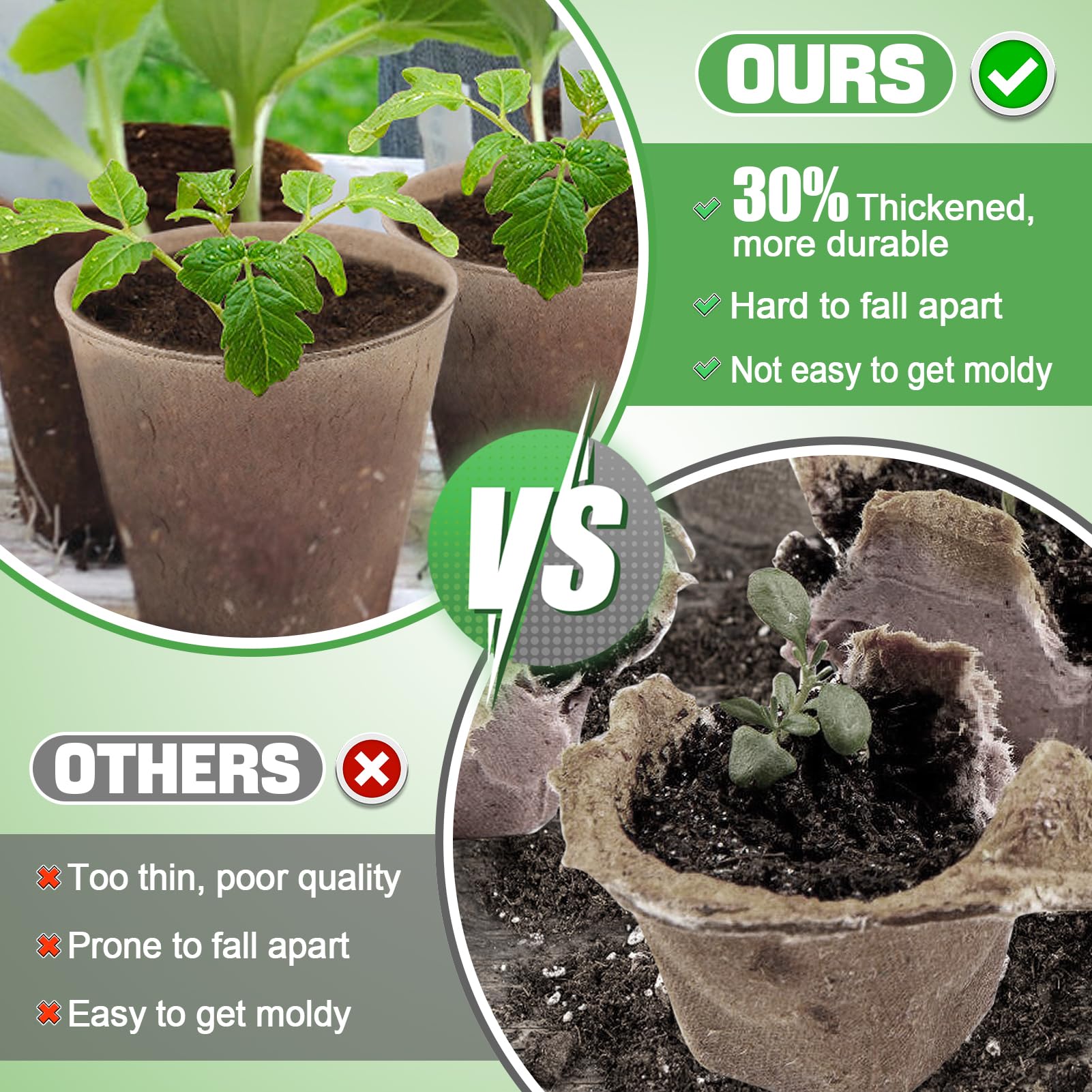 Cosweet peat pots with drainage holes support healthy root growth.