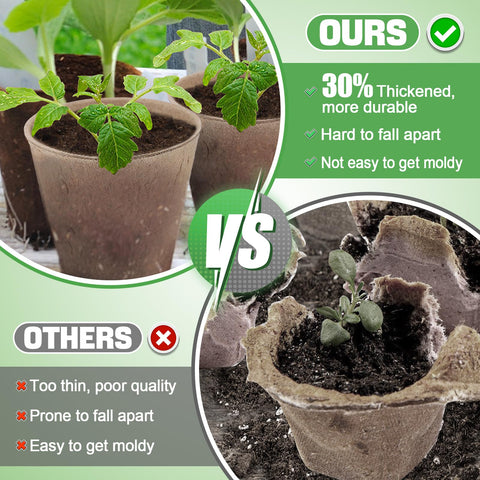 Cosweet peat pots with drainage holes support healthy root growth.