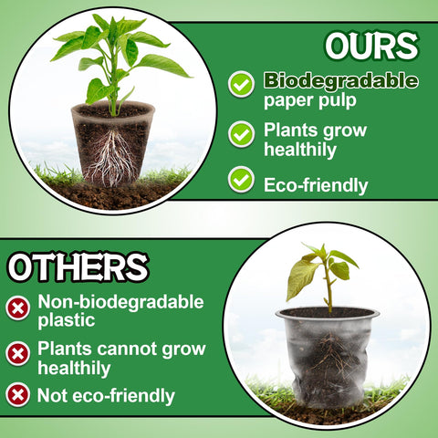 Cosweet seedling starters kit with 50 pots and 100 markers for germination.