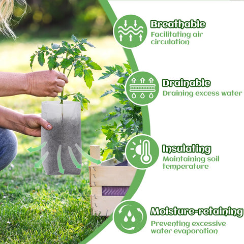 Cosweet smooth inner surface eases transplanting and reduces root entanglement for healthier seedlings.