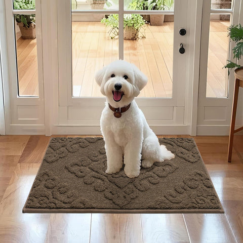 COSY HOMEER door mat handles wet footwear and paws reliably.