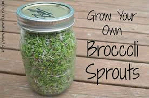 Country Creek Acres microgreens harvest bowl, vibrant greens for salads