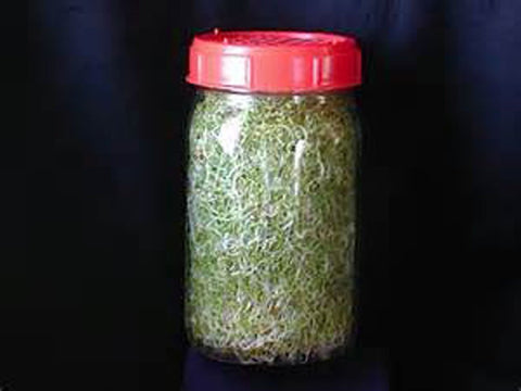 Country Creek Acres two-ounce seed bag for easy sprouting and storage