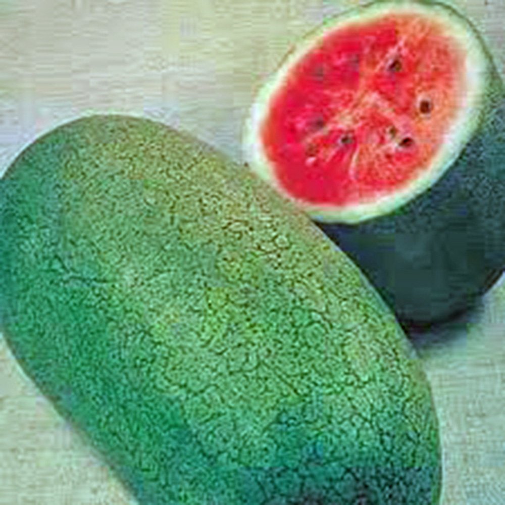 Country Creek Acres Watermelon Charleston Grey fruit—large and ready for slicing