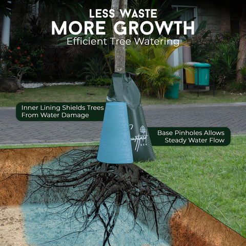 Courtyard Dew tree bag targets deep roots to support drought resilience.