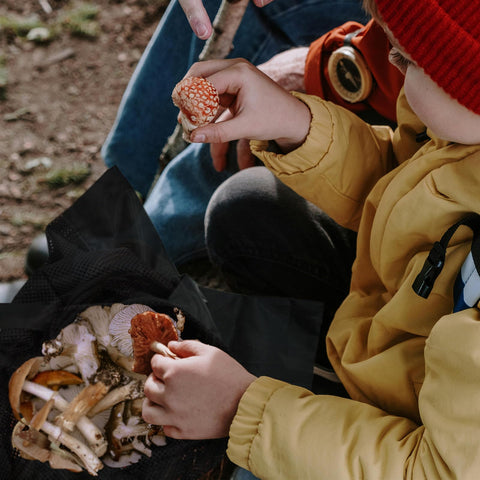 Cover Geny foldable design saves space on outdoor foraging trips.