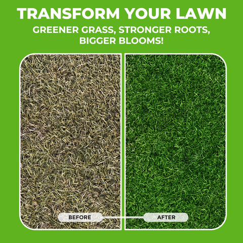 Covington Naturals nourishes indoor plants for steady growth.