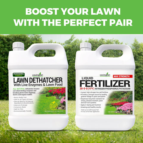 Covington Naturals before and after lawn dethatching in a sunny garden.