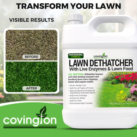 Covington Naturals thatch removal improves drainage and soil structure in lawns.