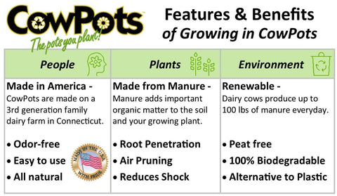 CowPots peat-free visual 4: reduces plastic waste and breaks down.