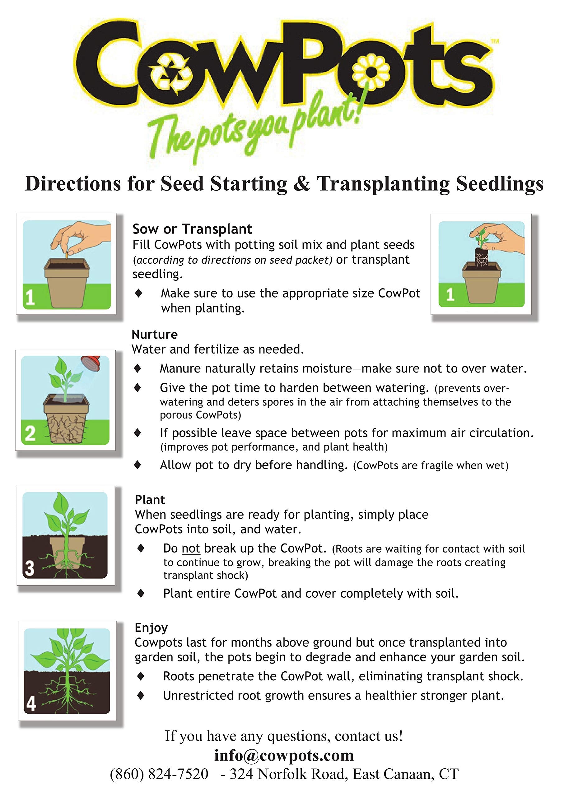 CowPots roots-healthy visual 3: promotes dense root systems.