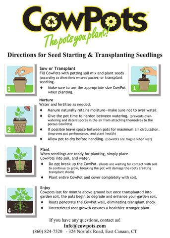 CowPots roots-healthy visual 3: promotes dense root systems.