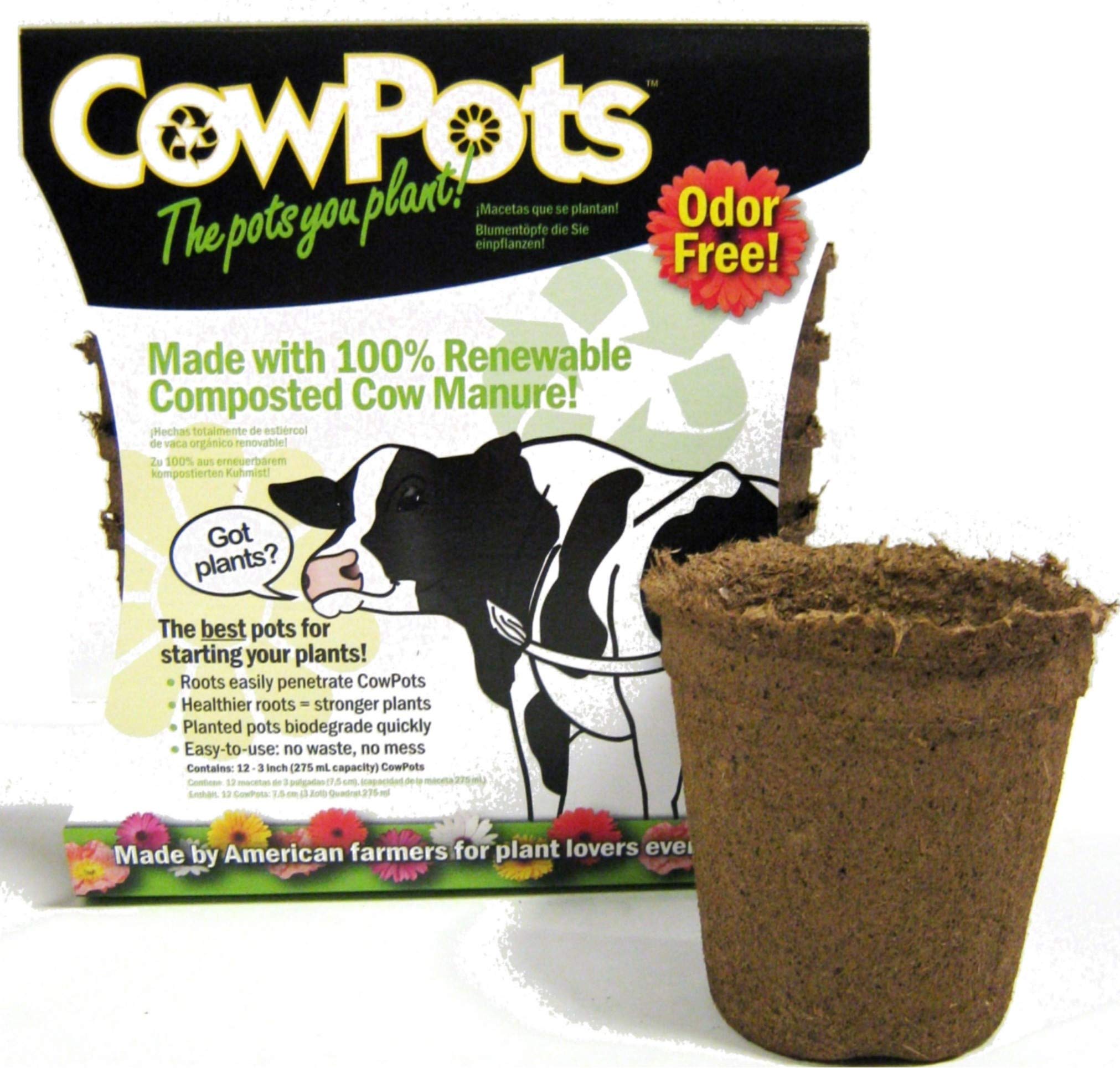 CowPots round 3-inch pack visual 1: seed starting with early growth.